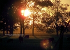 9-16-07 home 002